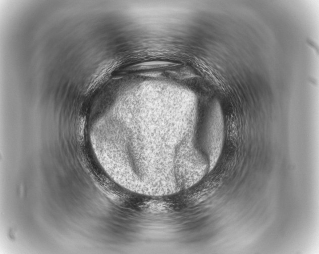 X0000093460742200711021134