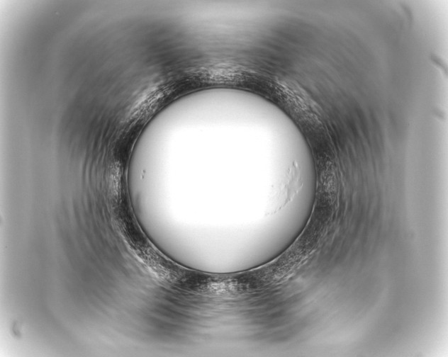 X0000093460744200711021134