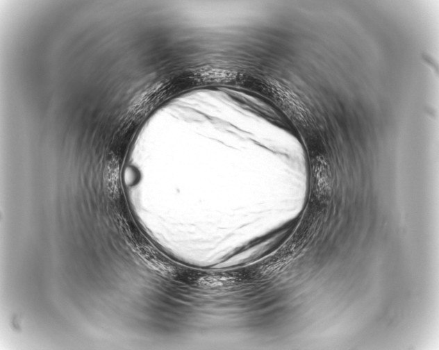 X0000093460745200711021134