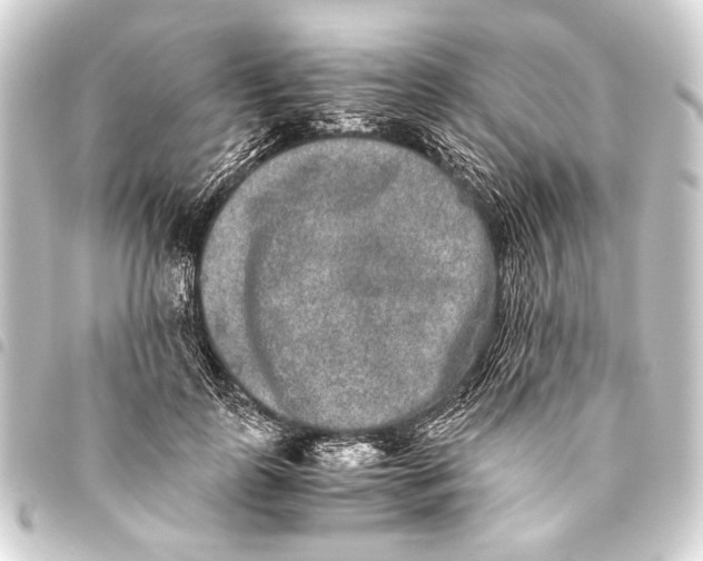 X0000093460747200711021134