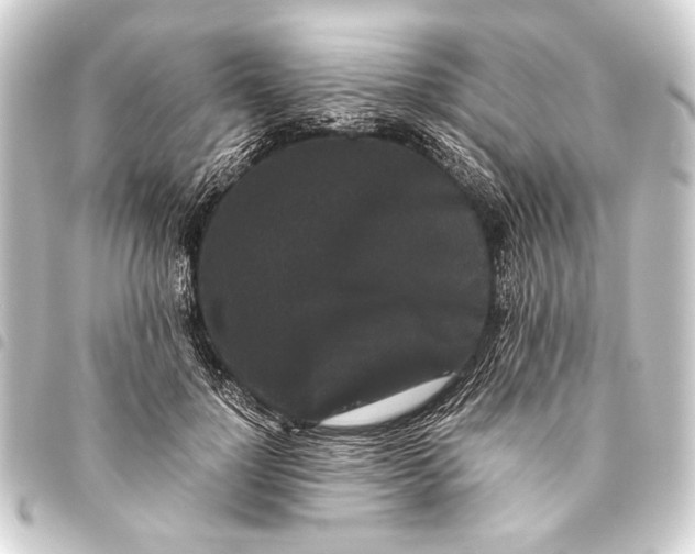 X0000093460748200711021134