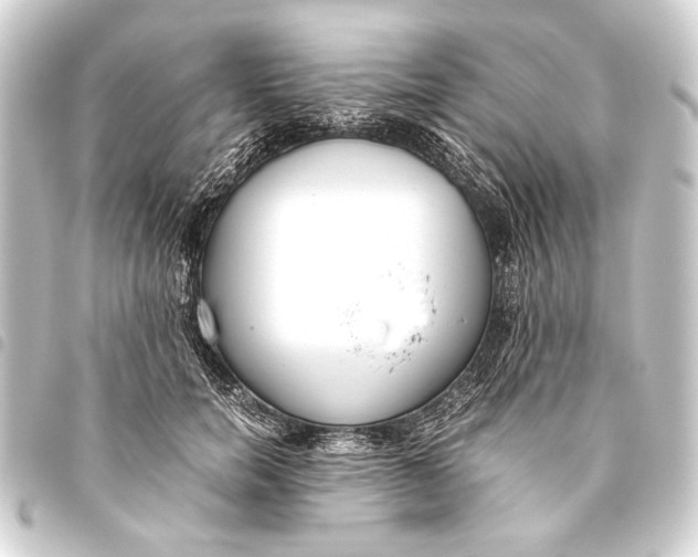 X0000093460750200711021134