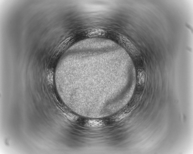 X0000093460753200711021134