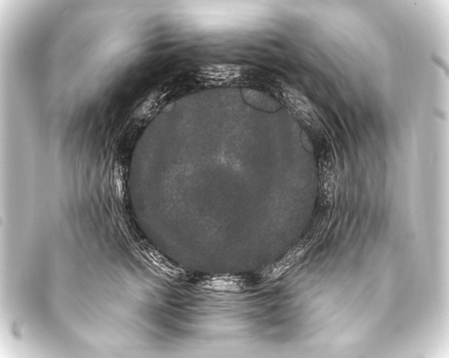 X0000093460758200711021134