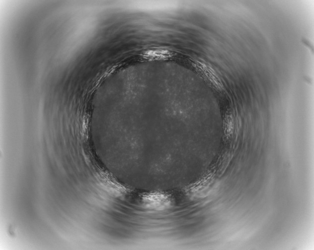 X0000093460759200711021134