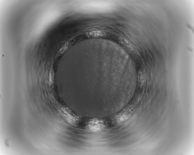 X0000093460760200711021134