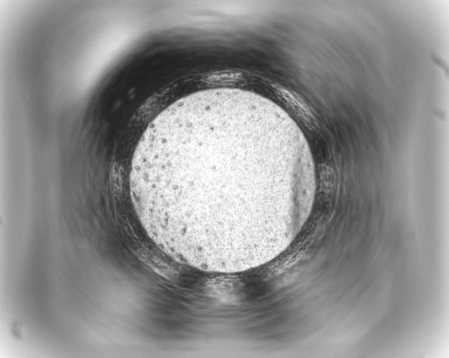 X0000093460761200711021134