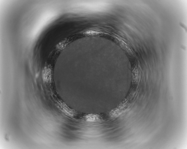 X0000093460762200711021134