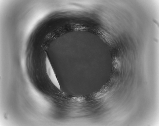 X0000093460763200711021134