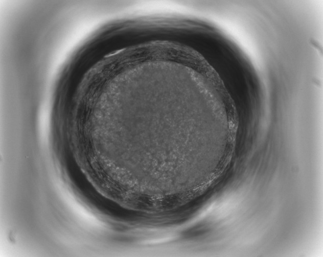 X0000093460765200711021134