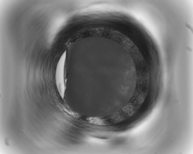 X0000093460766200711021134