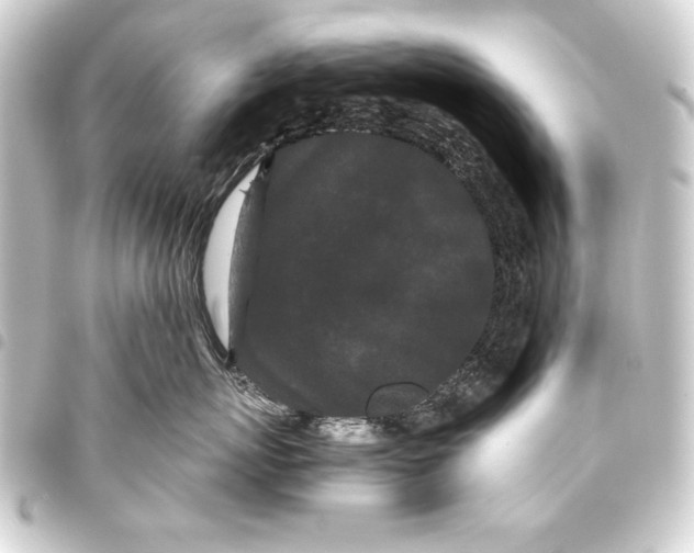 X0000093460767200711021134