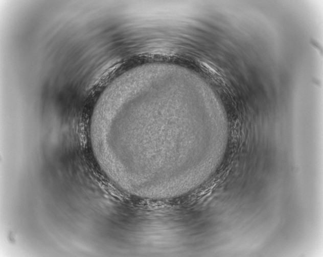 X0000093460774200711021133