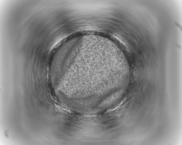 X0000093460775200711021133