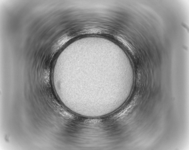 X0000093460778200711021133