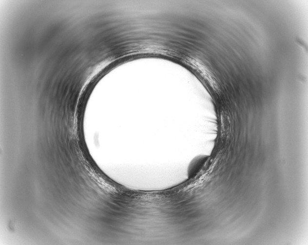 X0000093460780200711021133