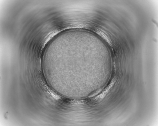 X0000093460781200711021133