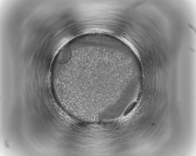 X0000093460783200711021133