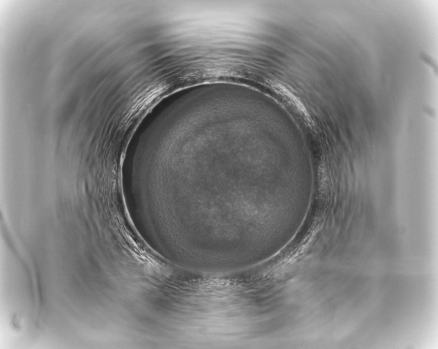 X0000093460785200711021133