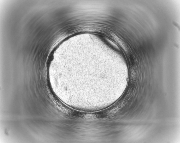 X0000093460787200711021133