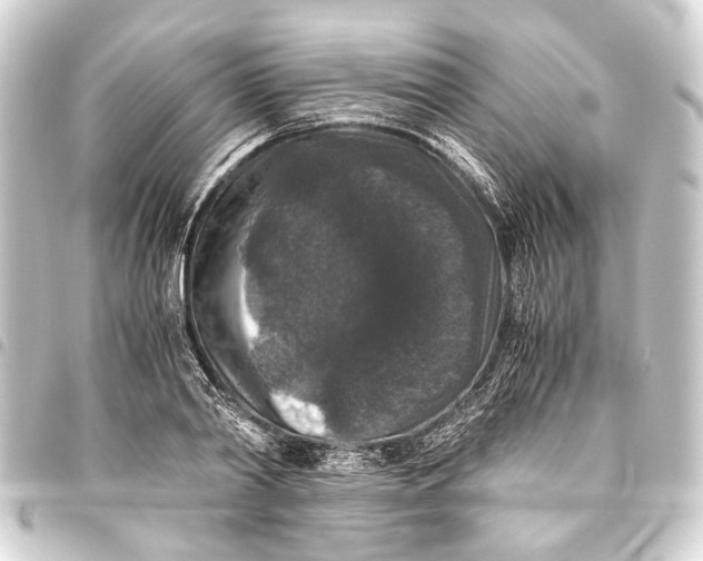 X0000093460790200711021133