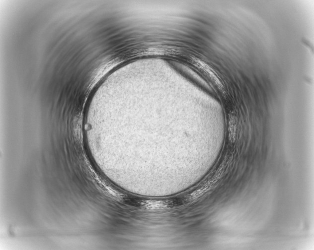 X0000093460794200711021133