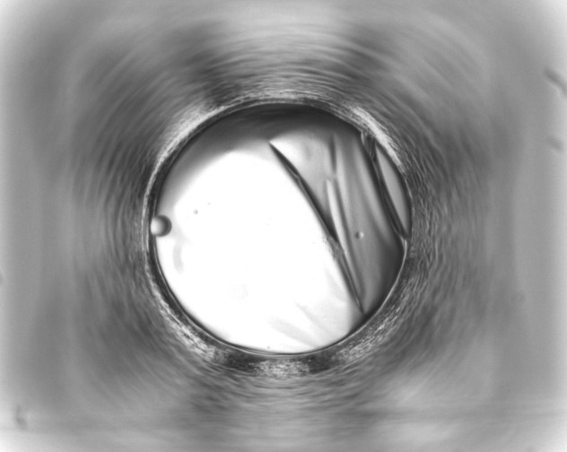 X0000093460795200711021133