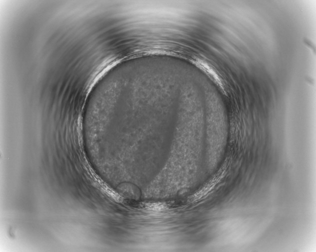 X0000093460798200711021133