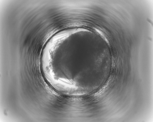 X0000093460802200711021133