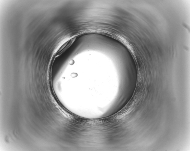 X0000093460803200711021133