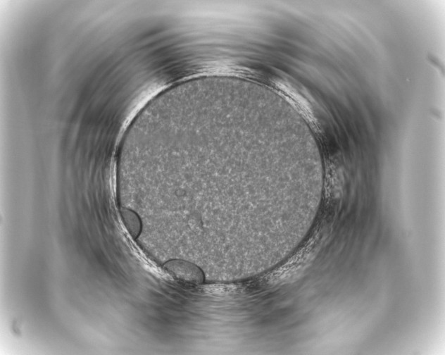 X0000093460804200711021133