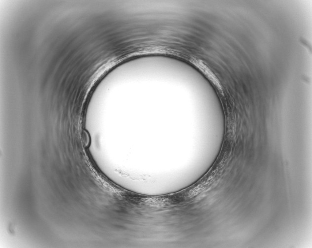 X0000093460805200711021133