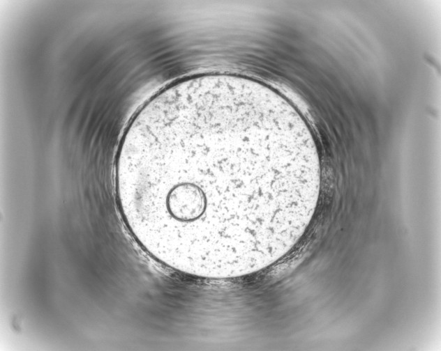 X0000093460807200711021133