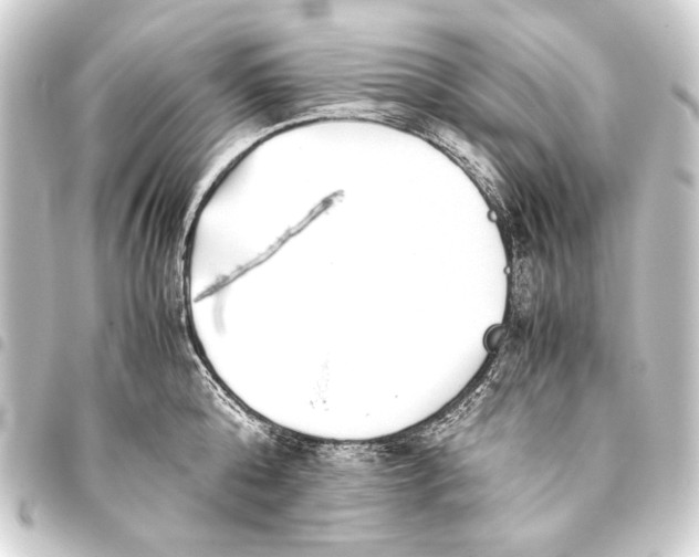 X0000093460808200711021133