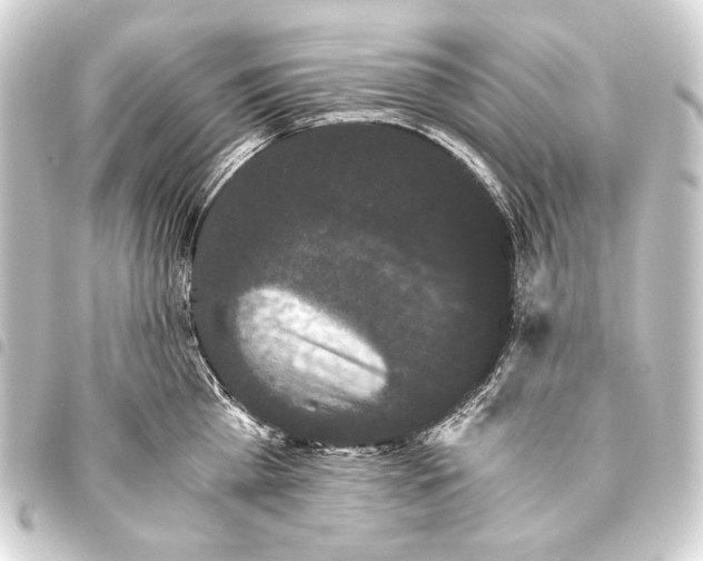 X0000093460809200711021133