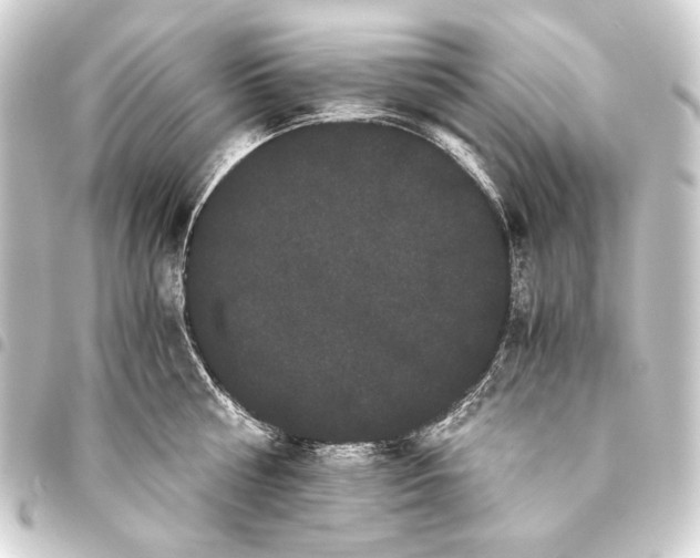 X0000093460810200711021133