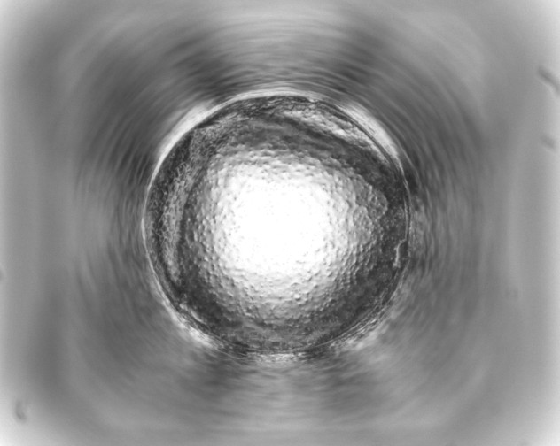 X0000093460813200711021133