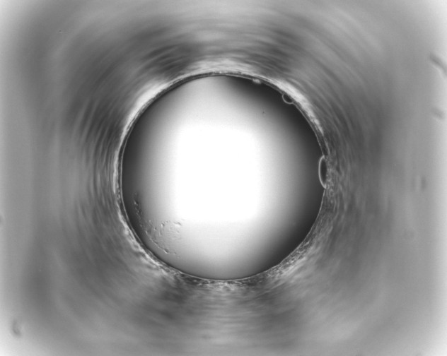 X0000093460815200711021133