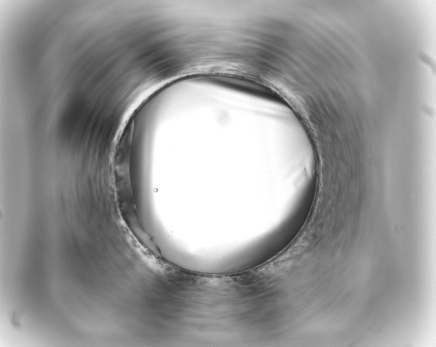 X0000093460816200711021133