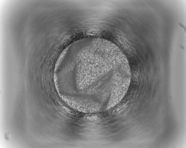 X0000093460817200711021132