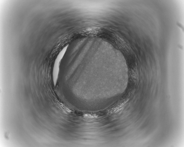 X0000093460818200711021132