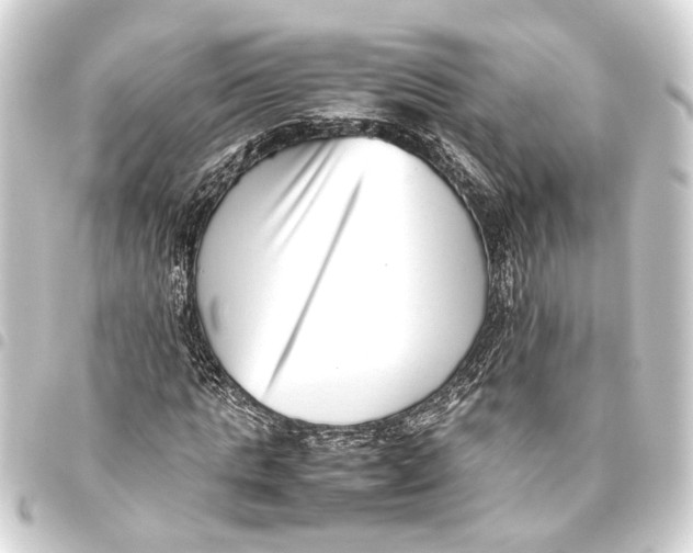 X0000093460821200711021132