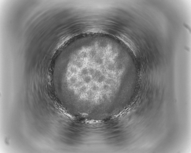 X0000093460823200711021132