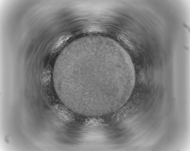 X0000093460824200711021132