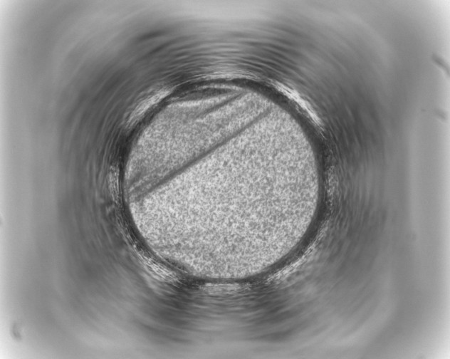 X0000093460825200711021132