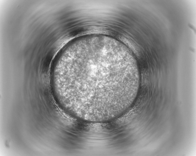 X0000093460828200711021132