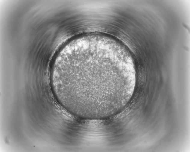 X0000093460832200711021132