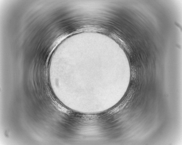 X0000093460836200711021133