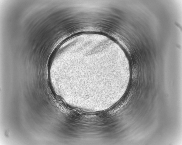 X0000093460837200711021133