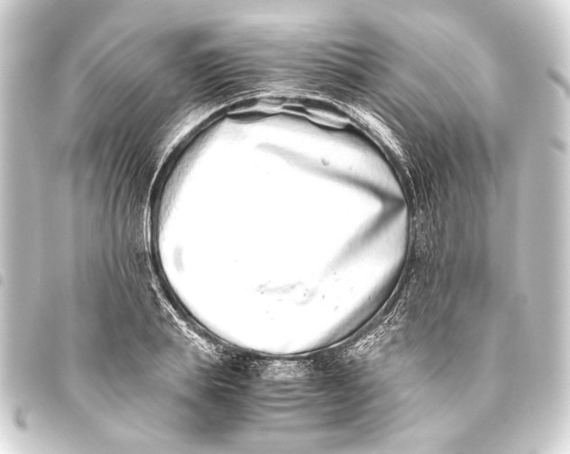 X0000093460839200711021133